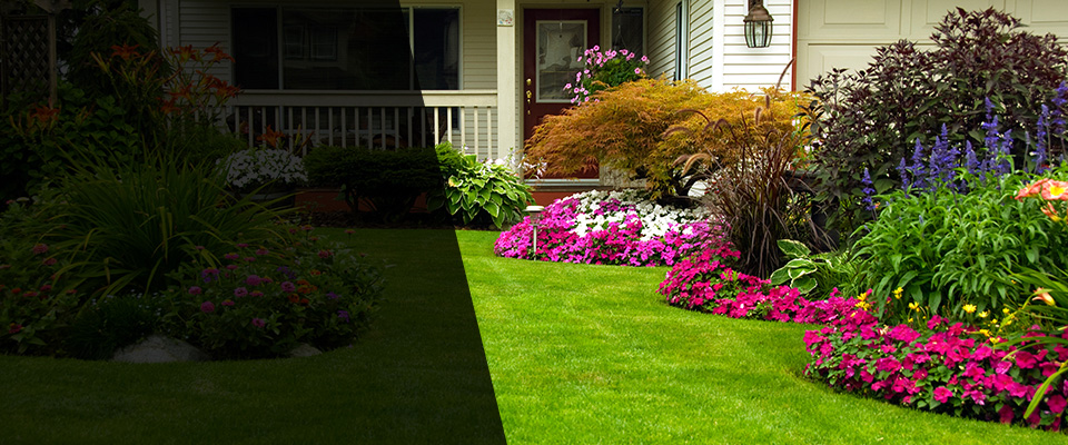 Woodland Park Landscapers