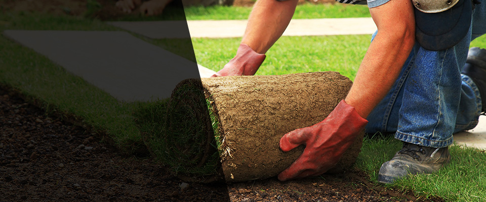 Woodland Park Landscapers